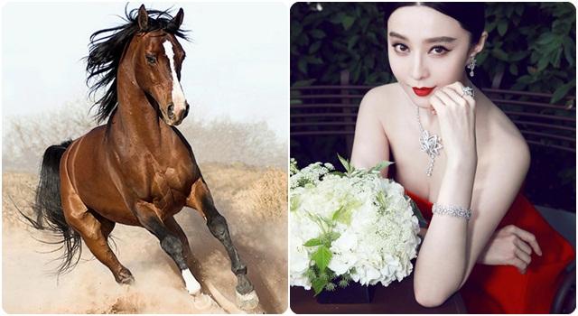 Trời sinh 3 con giáp này có số hưởng, tiền tiêu 1 thì thu lại 10 nên đời đời ấm no-2