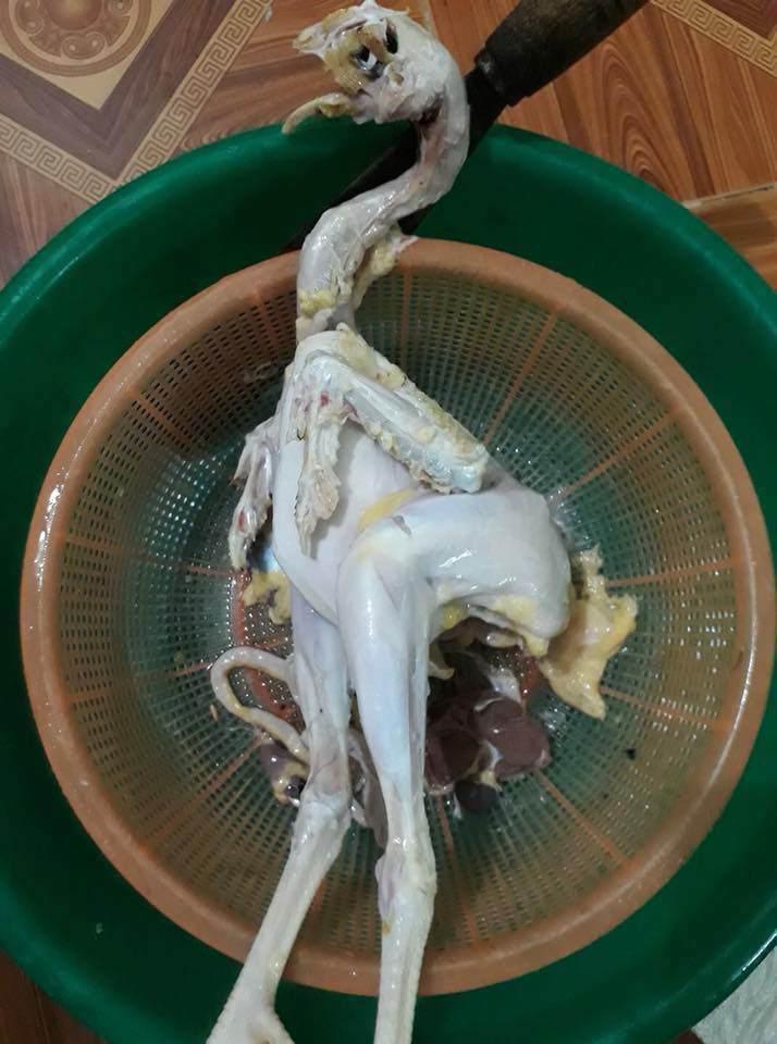 Chỉ vì bố chồng không thích ăn da gà mà cô gái có màn vặt lông gà khiến hội chị em thất kinh-2