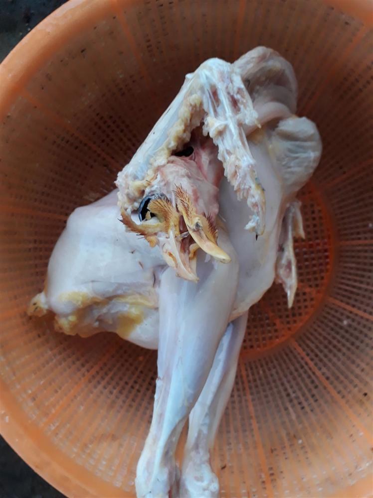 Chỉ vì bố chồng không thích ăn da gà mà cô gái có màn vặt lông gà khiến hội chị em thất kinh-3