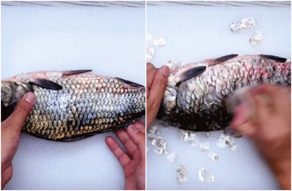 Chỉ dùng củ cải là vẩy cá hết veo, mẹo vặt hữu ích mà không phải chị em nào cũng biết-2