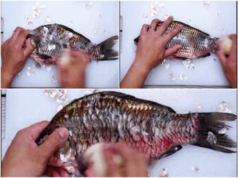 Chỉ cần nắm trong tay bí quyết này, bạn có thể dễ dàng kiểm tra thực phẩm mình đang ăn có SẠCH hay không-5