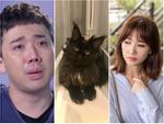 Gạt thâm thù với Hari Won, Trấn Thành bắt tay bà xã cùng chữa bệnh cho mèo cưng 3.000 USD-2