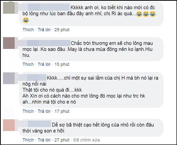 Không nỡ giết Hari Won, Trấn Thành đau khổ ngắm ảnh mèo cưng 3000 USD trước khi bị cạo lông-7