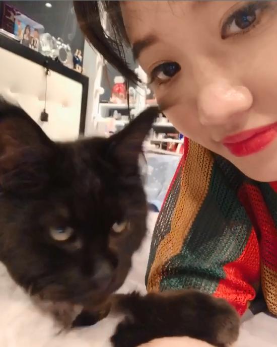 Sau khi cạo trụi lông mèo cưng 3.000 USD, Hari Won quay clip khoe nó ok lắm dù Trấn Thành uất ức khóc không ra tiếng-4