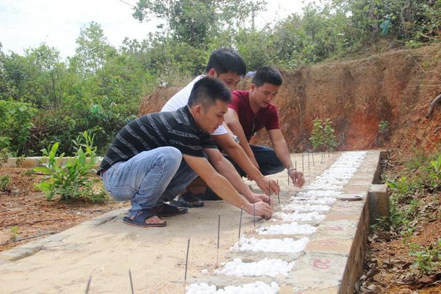 Quảng Trị: Ba chàng trai trẻ tình nguyện lập nghĩa trang chôn cất các hài nhi xấu số-6