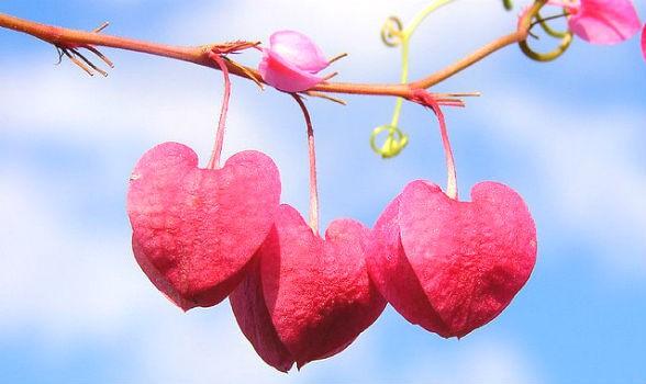 Tuổi Dậu có nguy cơ bị tiểu nhân hãm hại ngày 11/9/2018-3