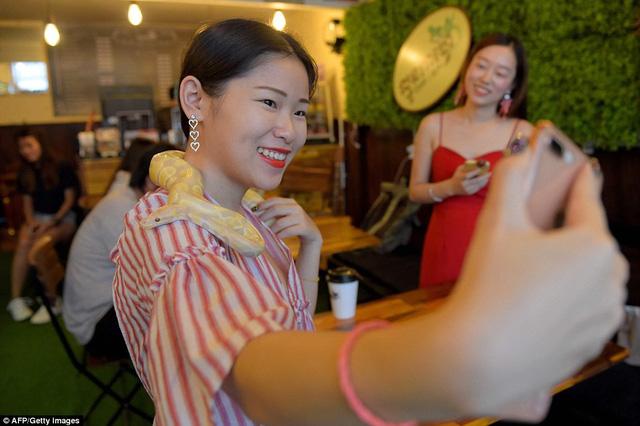 Đến quán cafe cảm giác mạnh: Chơi cùng rắn, bọ cạp và cự đà-2