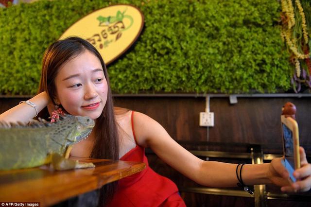 Đến quán cafe cảm giác mạnh: Chơi cùng rắn, bọ cạp và cự đà-3