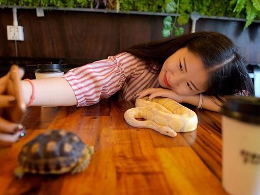 Nhện độc, bọ cạp và những món ăn nên thử khi đến Campuchia-8