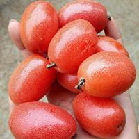 Các món ăn vặt khiến thế hệ 8x bồi hồi nhớ về tuổi thơ dữ dội-3