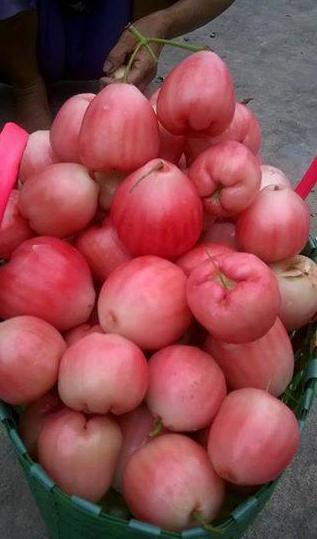 Các món ăn vặt khiến thế hệ 8x bồi hồi nhớ về tuổi thơ dữ dội-8