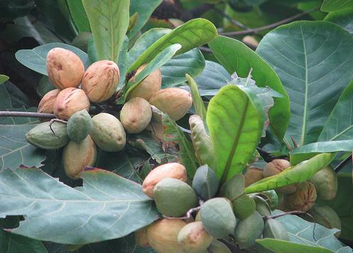 Các món ăn vặt khiến thế hệ 8x bồi hồi nhớ về tuổi thơ dữ dội-9