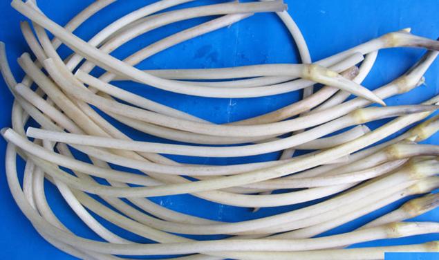 Các món ăn vặt khiến thế hệ 8x bồi hồi nhớ về tuổi thơ dữ dội-10