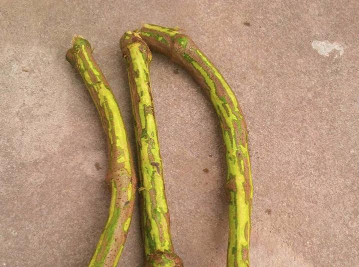 Các món ăn vặt khiến thế hệ 8x bồi hồi nhớ về tuổi thơ dữ dội-11