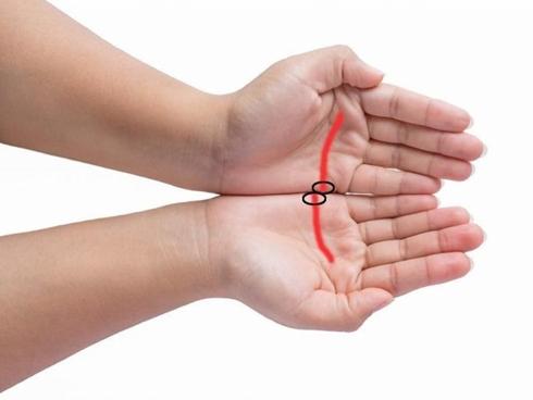 Muốn biết bạn có vận đào hoa hay tình duyên đứt đoạn chỉ cần đặt 2 bàn tay cạnh nhau là sẽ rõ