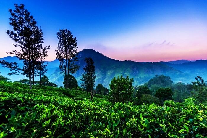 Tháng 10 đi du lịch, đừng bỏ lỡ những điểm đến tuyệt vời ngay gần Việt Nam này-10