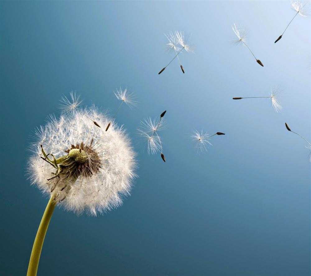 Tử vi thứ Năm ngày 13/9/2018 của 12 cung hoàng đạo-2