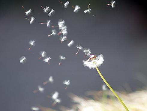 Top 3 cung hoàng đạo ăn cơm nhà, vác tù và hàng tổng, luôn lo nghĩ cho người khác-4