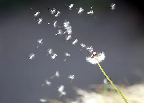 Tuổi Tý công việc hanh thông, tuổi Hợi vướng thị phi cần đề phòng ngày 13/9/2018-3