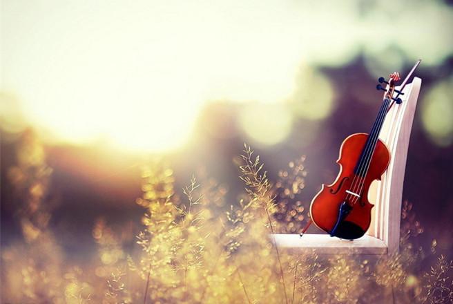 Tuổi Tý công việc hanh thông, tuổi Hợi vướng thị phi cần đề phòng ngày 13/9/2018-2