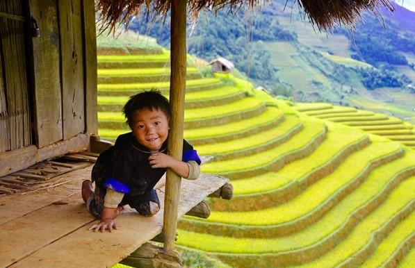 Image result for mu cang chai