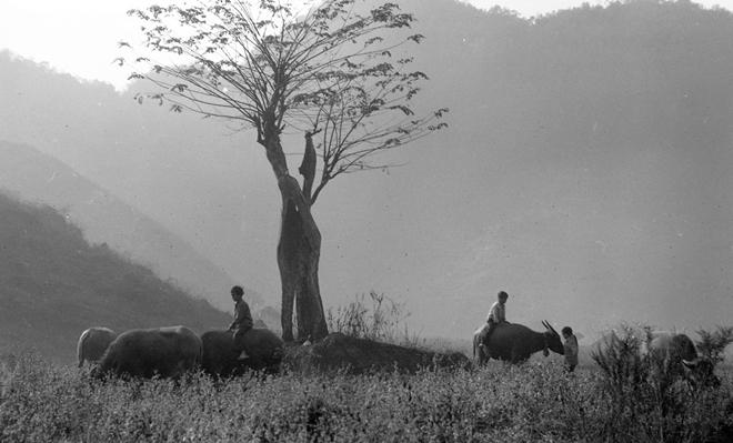 Vẻ đẹp thuần khiết, đầy cảm xúc của Đồng Văn qua ảnh đen trắng-3