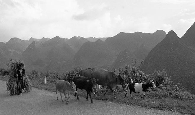 Vẻ đẹp thuần khiết, đầy cảm xúc của Đồng Văn qua ảnh đen trắng-4