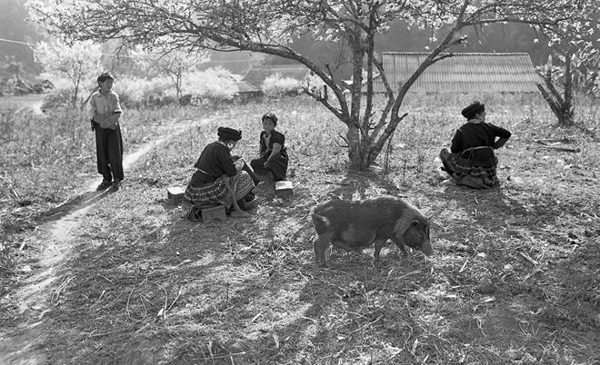 Vẻ đẹp thuần khiết, đầy cảm xúc của Đồng Văn qua ảnh đen trắng-6