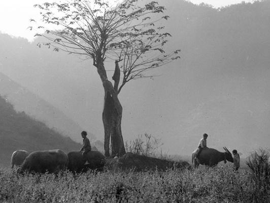 Vẻ đẹp thuần khiết, đầy cảm xúc của Đồng Văn qua ảnh đen trắng