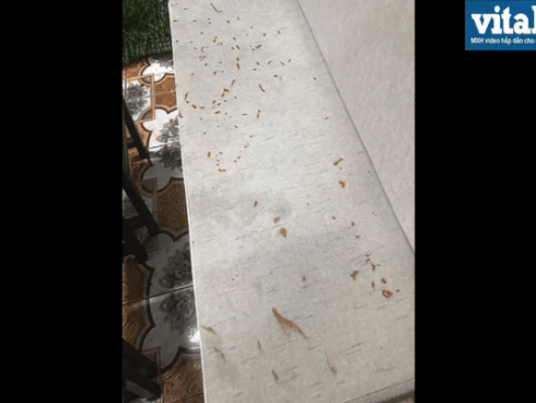 Hành động lạ trong quán ăn, khi bị 'nhắc nhở' cặp trai gái còn vô tư thách thức chủ quán