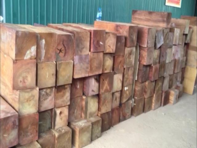 Quảng Trị: Lật tẩy mánh khóe giấu hàng ngàn thanh gỗ quý trong... giấy phế liệu-2