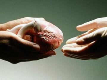 Cặp vợ chồng khiến cả y khoa thế giới bất ngờ vì cùng mắc ung thư vú-5