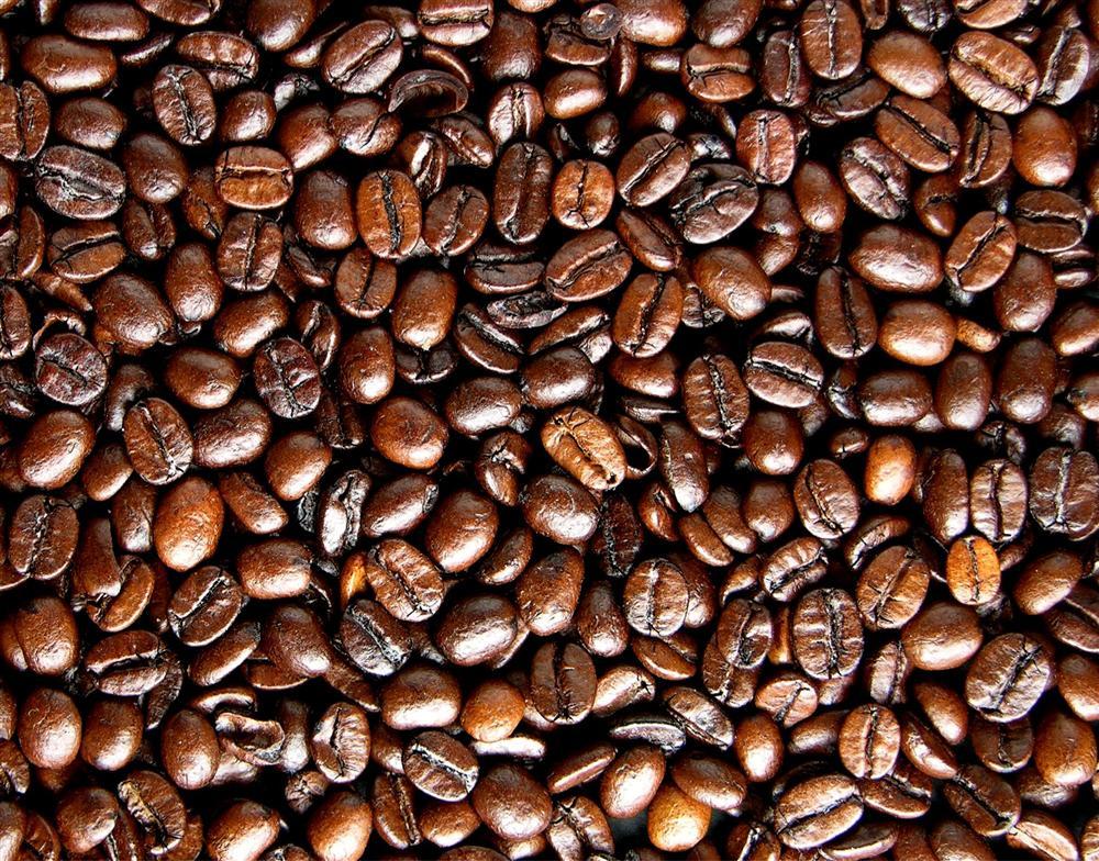 Quang Đại chia sẻ những sự thật thú vị về nước hoa mà có thể bạn chưa biết-3