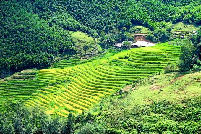 Thu sang là thời điểm lý tưởng nhất để ghé thăm Sa Pa-3