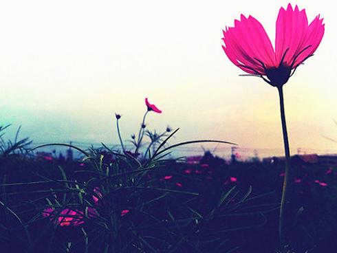 Tử vi chủ nhật ngày 16/9/2018 của 12 cung hoàng đạo: Song Ngư cẩn thận mất tiền, Song Tử cần bớt nghĩ tiêu cực hơn