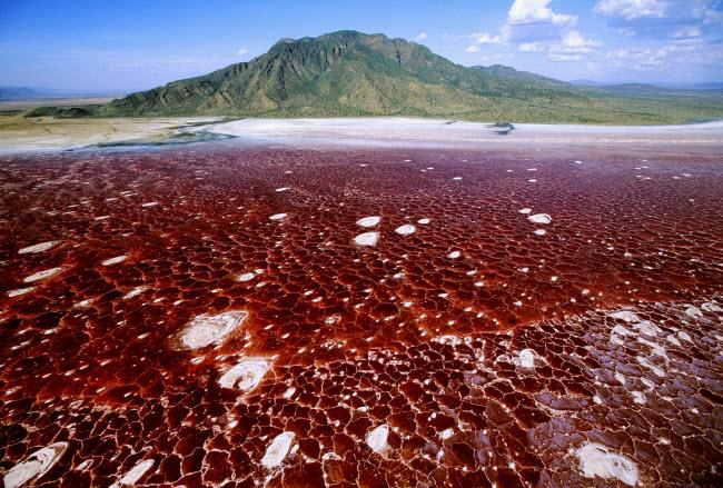 Giật mình với phong cảnh đẹp lạ lùng khắp châu Phi-4