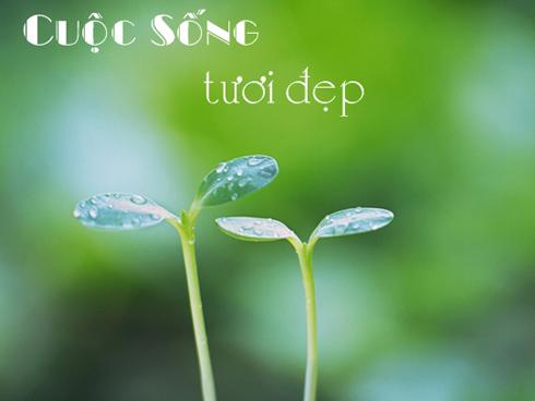 Tử vi tuần mới của 12 cung hoàng đạo từ ngày 17/9 đến 23/9/2018: Song Ngư liên tục gặp rắc rối