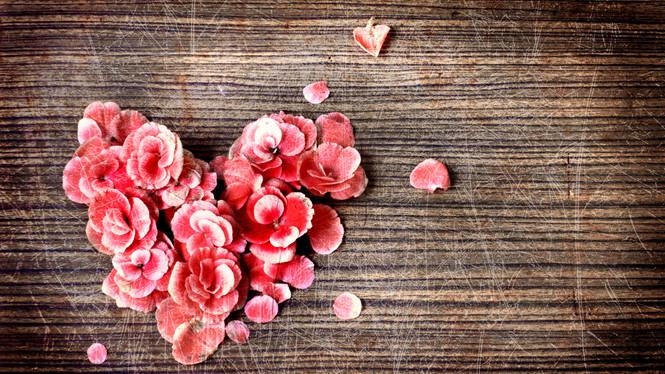 Chia buồn với 3 cung hoàng đạo đen đủi đủ đường tuần mới từ 17/9 đến 23/9/2018-2