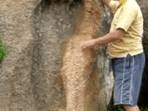 Căn bệnh quái khiến người đàn ông cao 2m42 lấy vợ 19 năm không có con-5