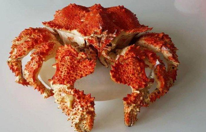 Con cua 60 triệu: Hàng hiếm toàn cầu, hấp kiểu Việt Nam thơm lừng-3