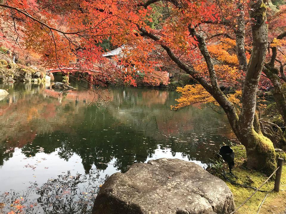 Mùa thu lá đỏ ở Nhật Bản đẹp đến ngẩn ngơ lòng người-4