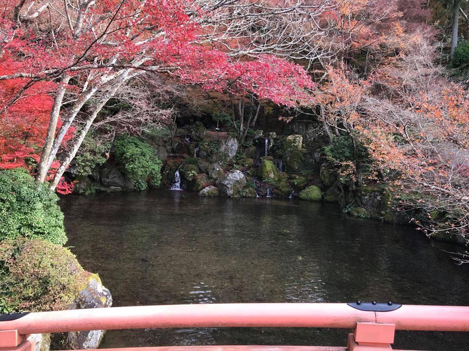 Mùa thu lá đỏ ở Nhật Bản đẹp đến ngẩn ngơ lòng người-3