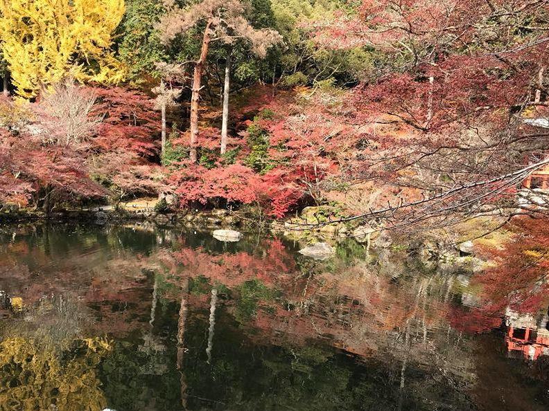 Rạp hát công nghệ thực tế ảo thu hút du khách ở Hàn Quốc-1