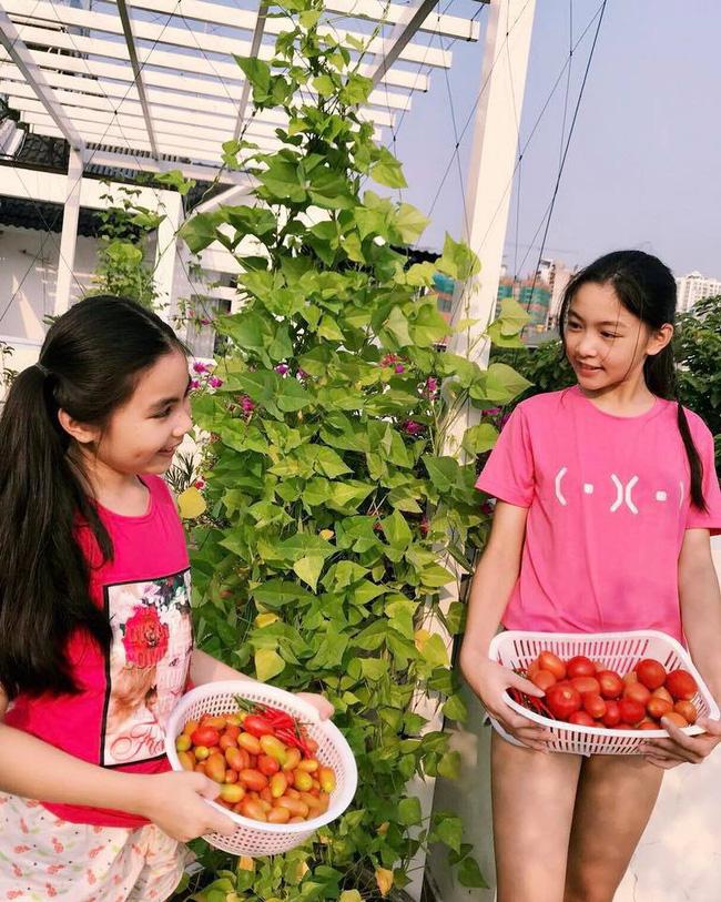 Con gái MC Quyền Linh khiến dân mạng phát sốt vì vừa xinh lại sở hữu cặp chân dài miên man như người mẫu-2