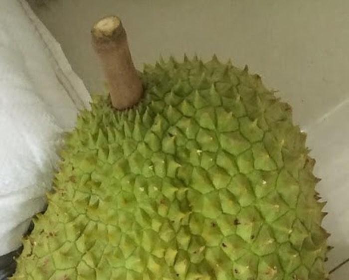 Mách bạn cách chọn sầu riêng chuẩn ngon, chỉ liếc qua cũng biết-3