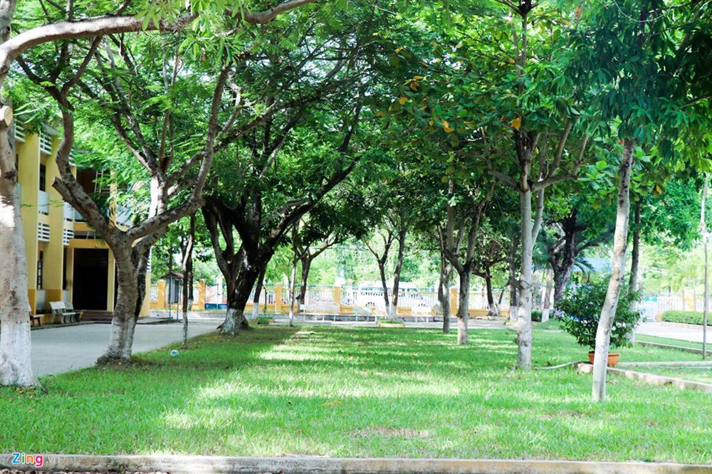 Hiệu trưởng: Hoa hậu Tiểu Vy học trung bình khá nhưng chăm ngoan-7