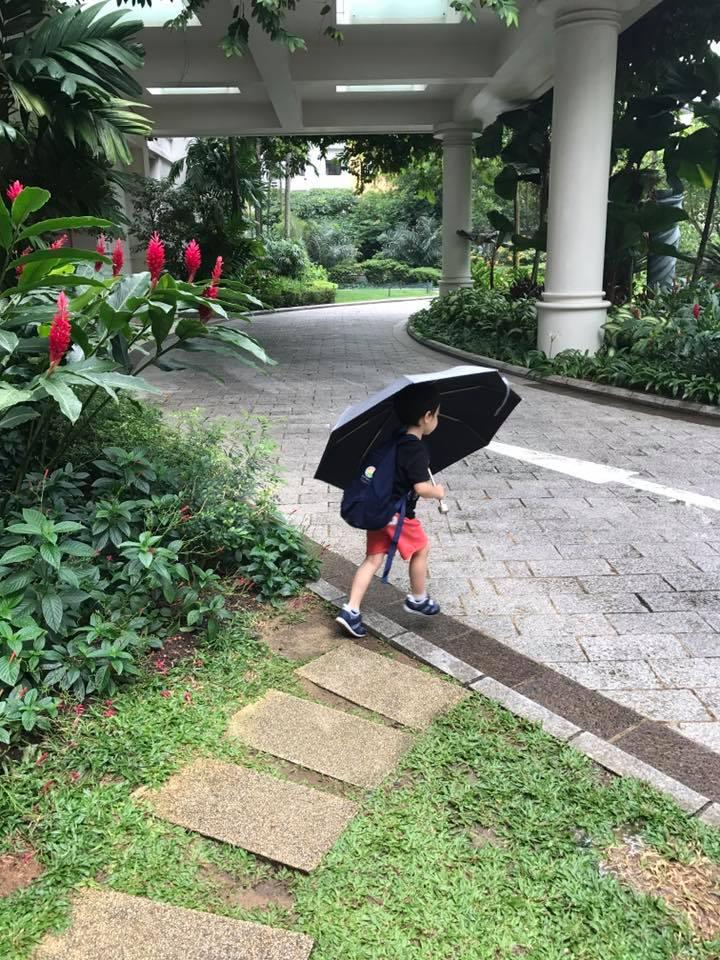 Hào hứng khoe ảnh con trai, Thu Minh vẫn quyết giấu mặt quý tử-1