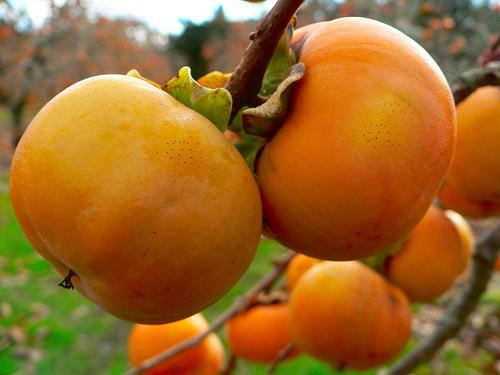 Khi ăn trứng xong đừng dại dột nạp thêm 7 thực phẩm này, cẩn thận mang họa vào thân-2