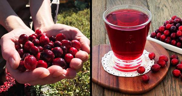 10 thực phẩm giúp giảm tích nước, hỗ trợ giảm cân nhanh-2