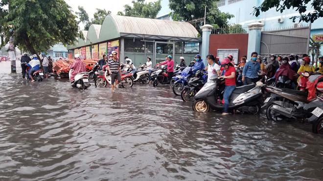 Nhiều tuyến Sài Gòn ngập sâu sau mưa lớn-5